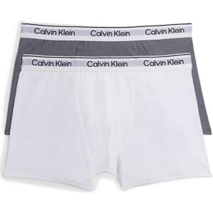 Calvin Klein Underwear Spodní prádlo šedá / bílá