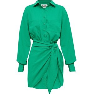 Calli Košilové šaty 'ZAC' trávově zelená