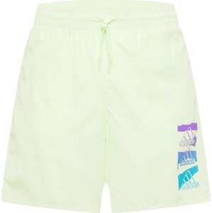Sportovní kalhoty 'Essentials BrandLove Chelsea' ADIDAS SPORTSWEAR pastelově zelená / mix barev
