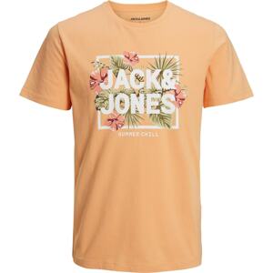 Tričko 'BECS' jack & jones zelená / oranžová / růžová / bílá