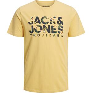 Tričko 'Becs' jack & jones marine modrá / žlutá / zelená / bílá