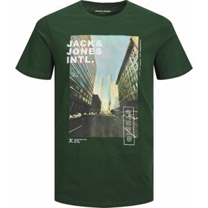 Tričko 'GARNER' jack & jones nebeská modř / antracitová / tmavě zelená / bílá