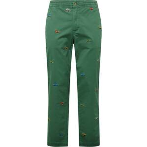 Kalhoty Polo Ralph Lauren modrá / žlutá / tmavě zelená / červená