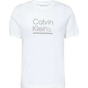 Tričko Calvin Klein šedá / bílá