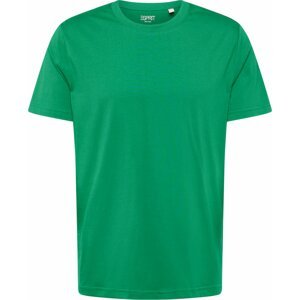 Tričko Esprit zelená