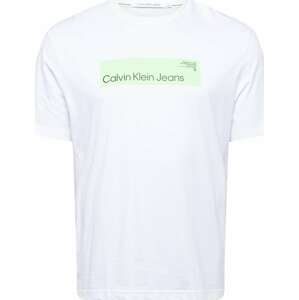 Tričko Calvin Klein Jeans Plus světle zelená / bílá