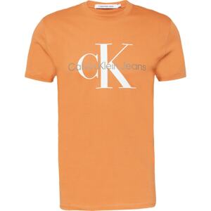 Tričko Calvin Klein Jeans šedá / oranžová / bílá