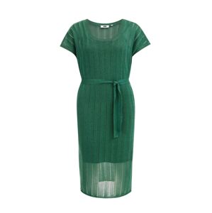 WE Fashion Šaty zelená