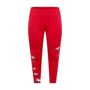 ADIDAS SPORTSWEAR Sportovní kalhoty 'Thebe Magugu' mix barev / červená