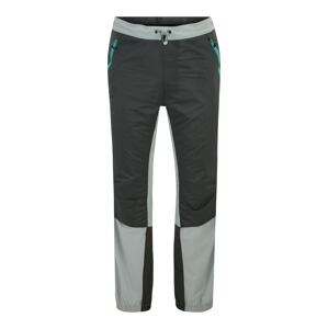 4F Outdoorové kalhoty antracitová / světle šedá / nefritová