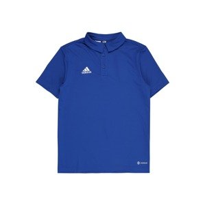 ADIDAS PERFORMANCE Funkční tričko 'Entrada 22' královská modrá / bílá
