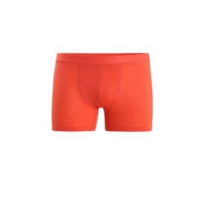 ICEBREAKER Sportovní spodní prádlo 'Anatomica' oranžová