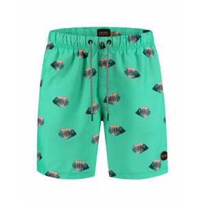 Shiwi Plavecké šortky  zelená