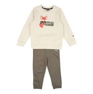 PUMA Sportovní oblečení 'Animals'  tmavě oranžová / šedobéžová / barva bílé vlny