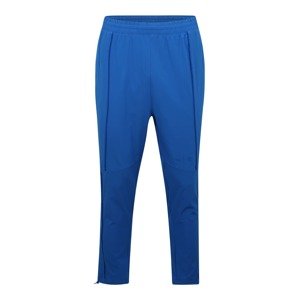 PUMA Sportovní kalhoty 'First Mile' královská modrá