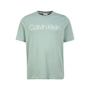 Calvin Klein Big & Tall Tričko  pastelově zelená / bílá