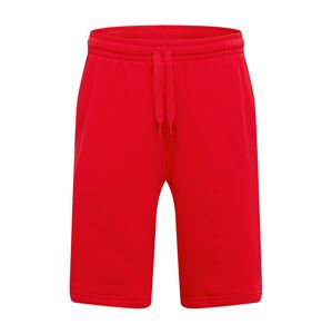 LACOSTE Sportovní kalhoty  červená