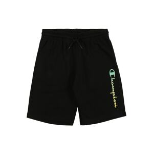 Champion Authentic Athletic Apparel Kalhoty  černá / mix barev
