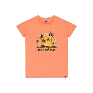 Cars Jeans Tričko 'Zephira' žlutá / oranžový melír / růžová / černá