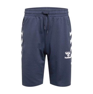 Hummel Sportovní kalhoty 'Ray 2.0'  bílá / námořnická modř