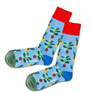 DillySocks Ponožky  modrá / žlutá / khaki / svítivě zelená / červená
