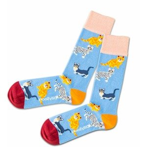 DillySocks Ponožky 'Water Cats'  mix barev / světlemodrá