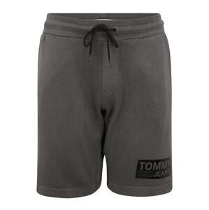 Tommy Jeans Plus Kalhoty  černá
