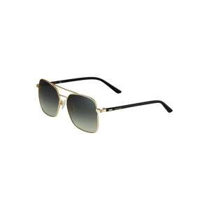 Calvin Klein Sluneční brýle '21305S'  černá / zlatá