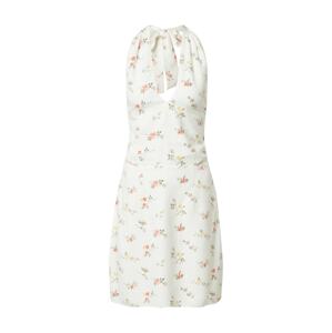 Abercrombie & Fitch Letní šaty  mix barev / bílá