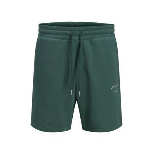 JACK & JONES Kalhoty 'Tobias'  tmavě zelená / bílá