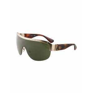 Ralph Lauren Sluneční brýle '0RL7070'  hnědý melír / zlatá / tmavě zelená