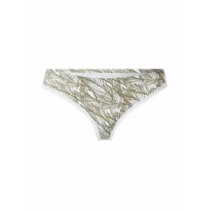 Calvin Klein Underwear Tanga  světle šedá / olivová