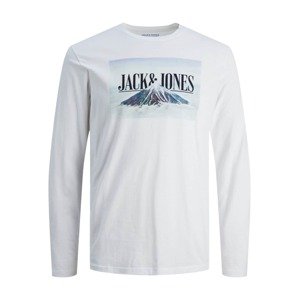 JACK & JONES Tričko  modrá / černá / bílá