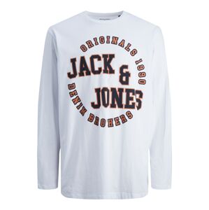 JACK & JONES Tričko 'JORARON'  bílá