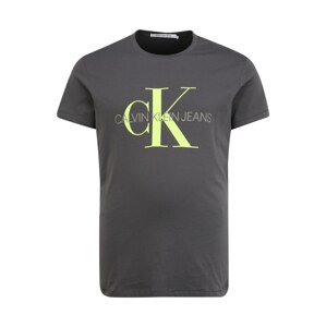 Calvin Klein Jeans Plus Tričko  svítivě zelená / tmavě šedá