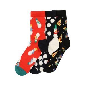 Happy Socks Ponožky 'Holiday'  červená / černá / nefritová / bílá