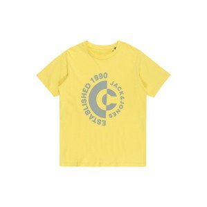Jack & Jones Junior Tričko 'SPRING'  žlutá / světle žlutá