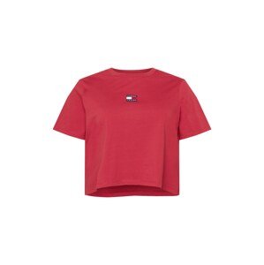 Tommy Jeans Curve Tričko  červená / bílá / námořnická modř