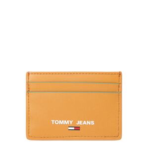 Tommy Jeans Peněženka  koňaková / bílá / námořnická modř / červená