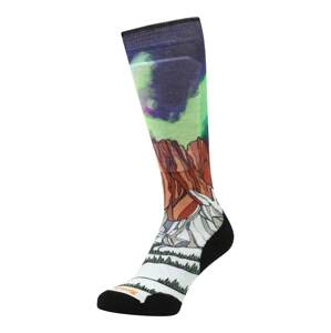 Smartwool Sportovní ponožky 'Homechetler'  mix barev