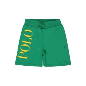 Polo Ralph Lauren Kalhoty 'ATHLETIC'  zelená / žlutá / modrá