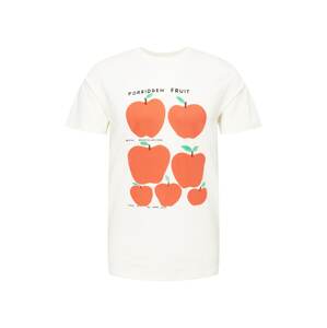 DEDICATED. Tričko 'Stockholm Forbidden Fruit'  nefritová / oranžově červená / černá / bílá