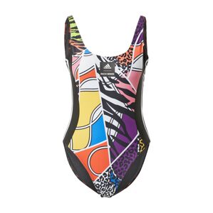 ADIDAS PERFORMANCE Sportovní plavky 'RICHI'  černá / mix barev
