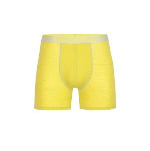 ICEBREAKER Sportovní spodní prádlo 'Anatomica' žlutá / šedá