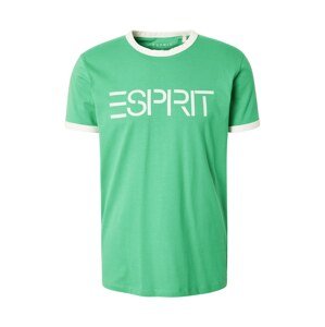 ESPRIT Tričko zelená / bílá