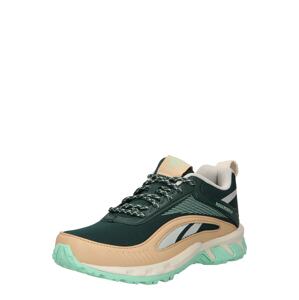 Reebok Sport Sportovní boty 'Ridgerider 6'  tělová / aqua modrá / světle šedá / tmavě zelená