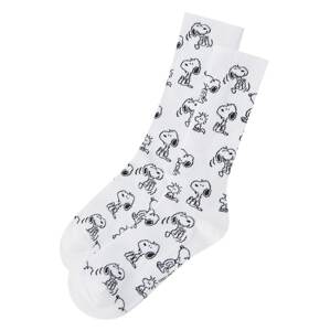 Pull&Bear Ponožky  bílá / černá